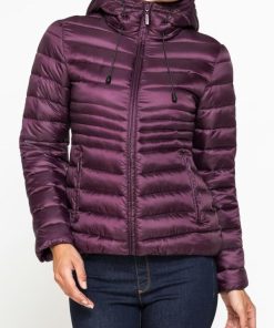 Isaacstewart.shop008294d8c7 1