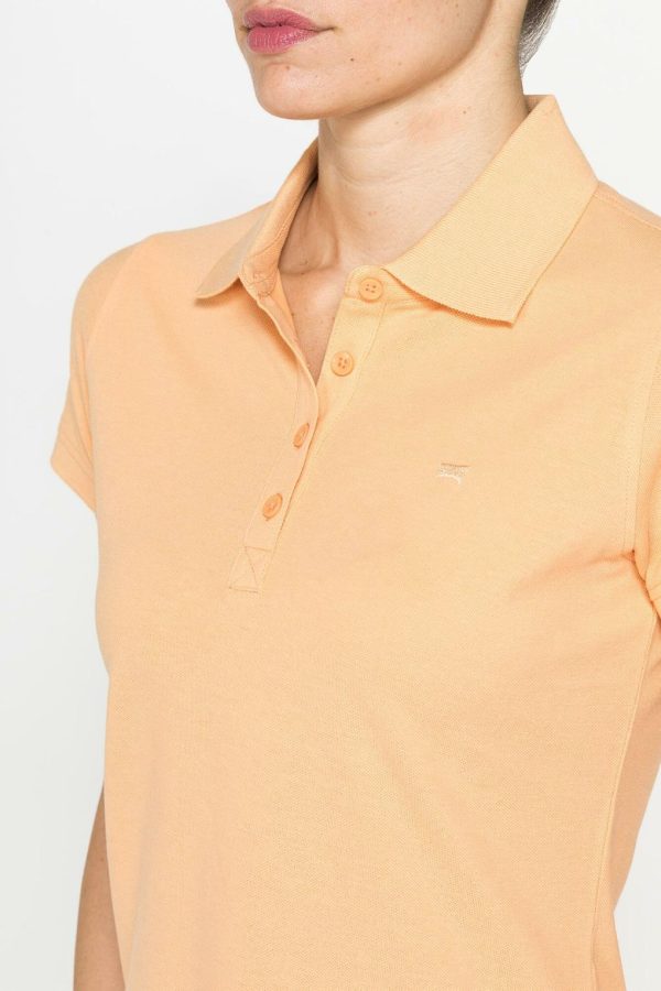 Isaacstewart.shop015704bebf 4