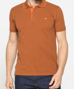 Isaacstewart.shop31d2567112 1