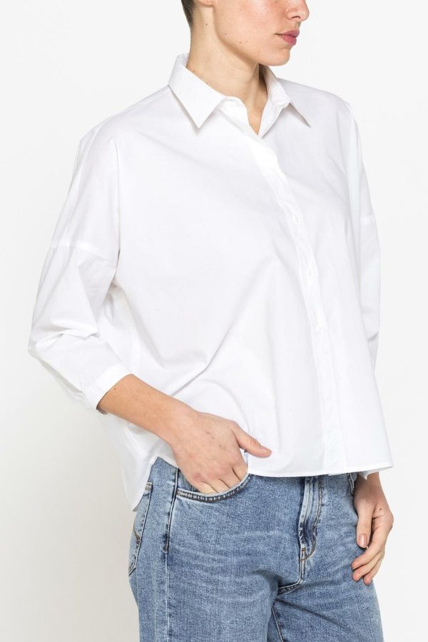 Isaacstewart.shop606e3a64a6 3