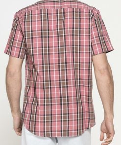 Isaacstewart.shopa955dddedd 3