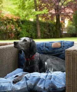 Isaacstewart.shopdd68c5e84d 4