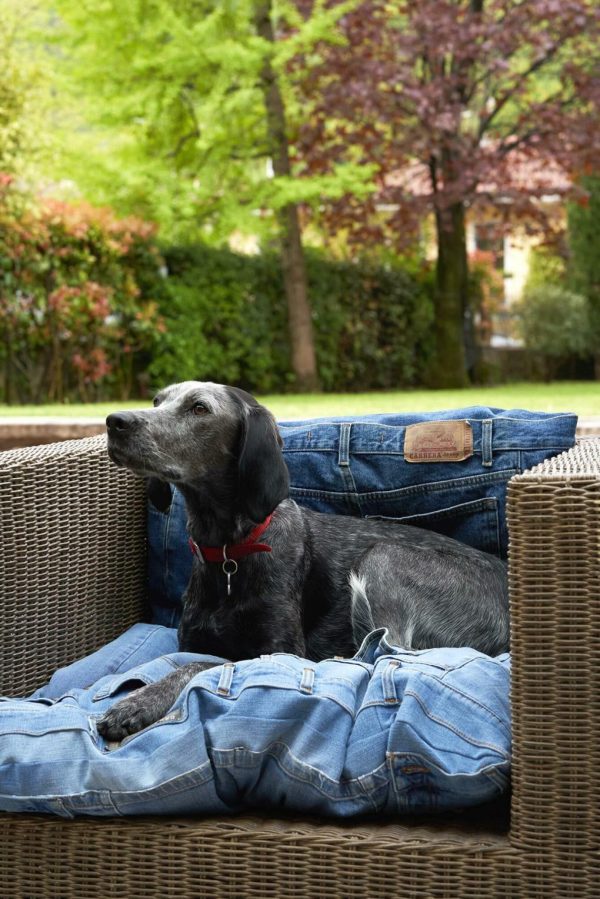 Isaacstewart.shopdd68c5e84d 4