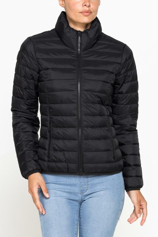 Isaacstewart.shopf2fb1343c3 1