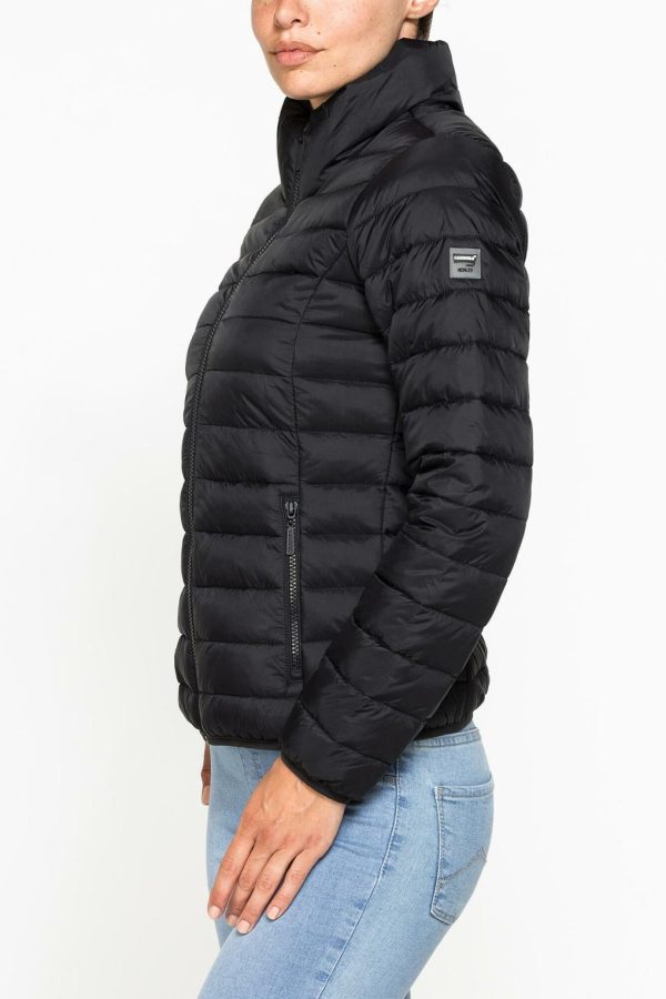 Isaacstewart.shopf2fb1343c3 2